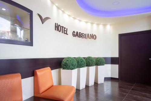 Фотография гостиницы Hotel Gabbiano