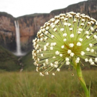 Фотография мини отеля Pousada Tabuleiro Eco