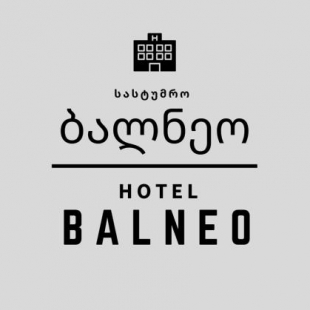 Фотография гостиницы Balneo Hotel