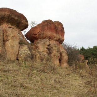 Фотография Парк Красные грибы