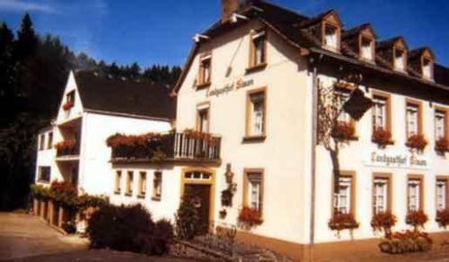 Фотография гостиницы Hotel Landgasthof Simon