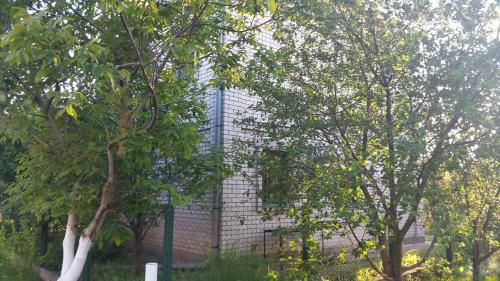 Фотография гостевого дома Black Sea Breeze