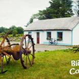 Фотография гостевого дома Biddys Cottage