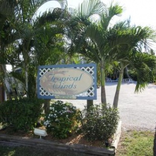 Фотография мотеля Tropical Winds Beachfront Motel and Cottages