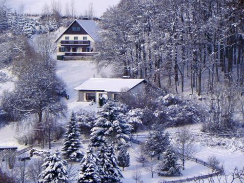 Фотографии гостевого дома 
            Ferienbungalow Nähe Willingen-Winterberg