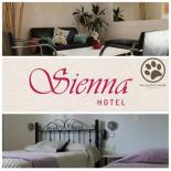 Фотография гостиницы Hotel Sienna