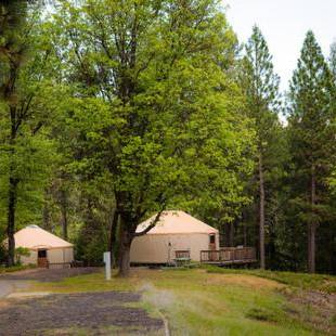 Фотографии базы отдыха 
            Yosemite Lakes Hillside Yurt 1