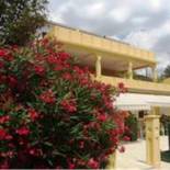 Фотография гостевого дома Guest House Sunce