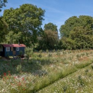 Фотография гостевого дома Stamford Cider Huts