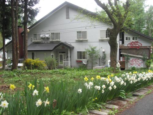 Фотография гостиницы Pension Old String