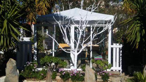 Фотография гостевого дома Finca Dulce