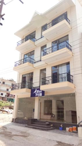 Фотография хостела Blue Jay Hostel Rishikesh