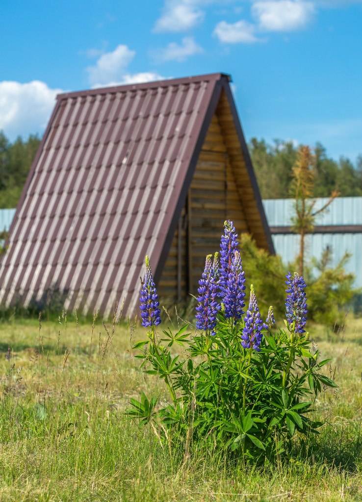 Фотография базы отдыха Волшебная заводь