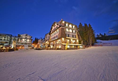 Фотографии гостиницы 
            Grey Hotel Kopaonik