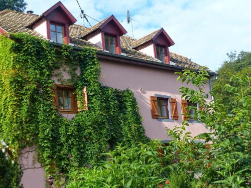 Фотографии гостевого дома 
            Domaine du Saphir Bleu Centre Zen Spirituel Universel de Thérapies Holistiques "Domaine Saint Michel D'Alsace"