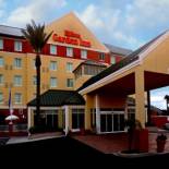 Фотография гостиницы Hilton Garden Inn Tampa Northwest/Oldsmar