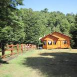 Фотография гостевого дома Cabaña en Coñaripe Sector Termas Geométricas