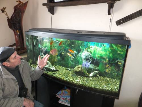 Фотографии гостиницы
Беловодье