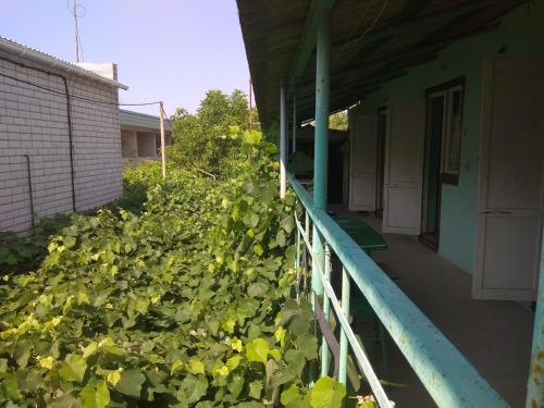 Фотография мини отеля У Татьяны