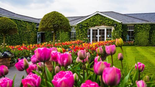 Фотография гостиницы The Keadeen Hotel