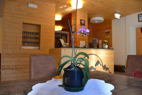 Фотография гостиницы Hotel Valdigne