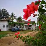 Фотография гостевого дома ALA Beach Lodge - Markisa Homestay