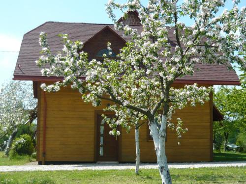 Фотография гостевого дома Wichrowe Wzgórze