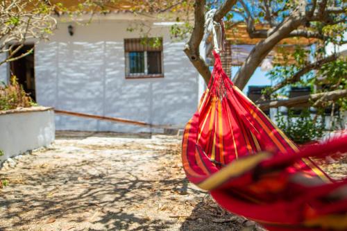 Фотографии гостевого дома 
            Cubo´s Casa Rural La Cañada de Coín