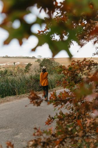 Фотография гостиницы Zevenwacht Country Inn