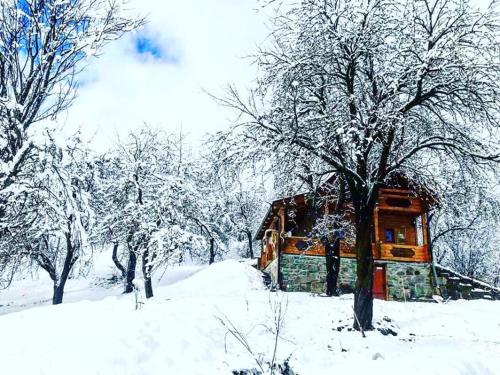 Фотография апарт отеля Rafnivskyi