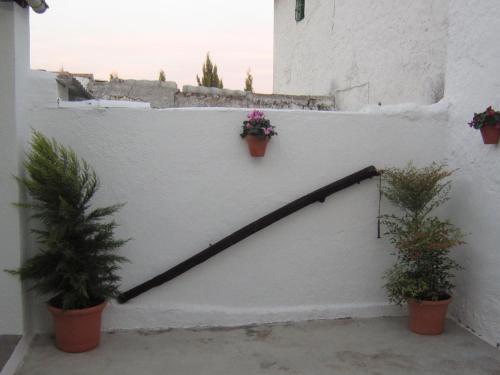 Фотография гостевого дома Casa Rural La Pedrisa