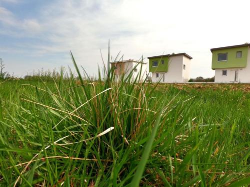 Фотография гостевого дома Ferienhaus XL mit Bademantelgang zur Sonnentherme