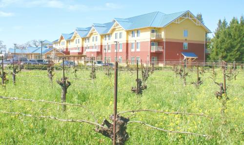 Фотография гостиницы Hilton Garden Inn Sonoma County Airport
