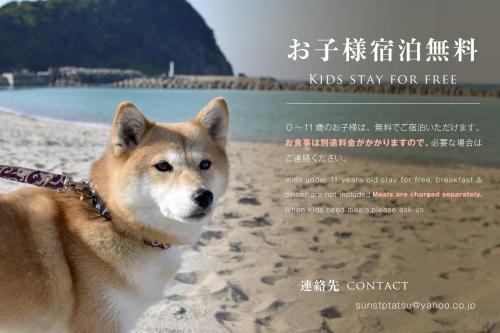 Фотография гостиницы Welcome Inn SunnySteps