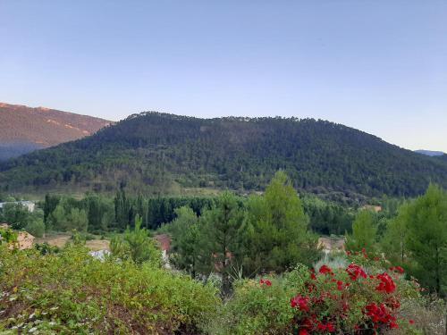 Фотография мини отеля Cibanto de las Maravillas