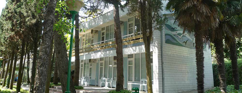 Фотография пансионата Московский