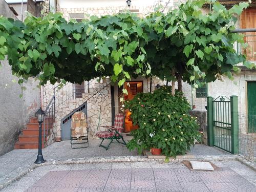 Фотографии гостевого дома 
            Valle di Comino - Terrazza Panoramica -