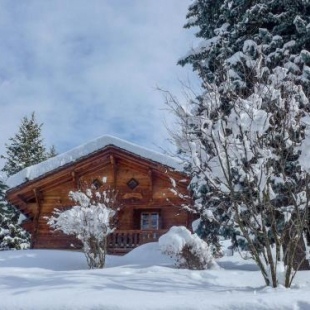 Фотография гостевого дома Chalet La tintaz
