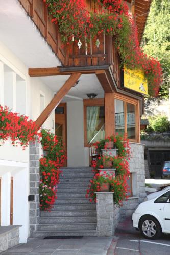 Фотография мини отеля Bresidence Edelweiss