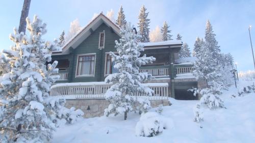 Фотографии гостевого дома 
            Tahkonhovi Golden Chalet