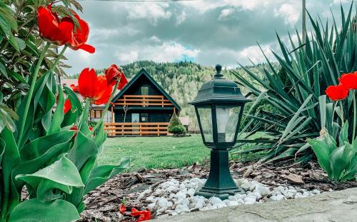 Фотография гостевого дома Eko Domek w górach