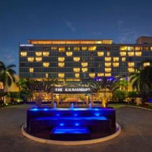 Фотографии гостиницы 
            Hyatt Regency Dar es Salaam, The Kilimanjaro