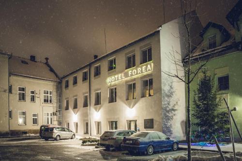 Фотография гостиницы Hotel Forea
