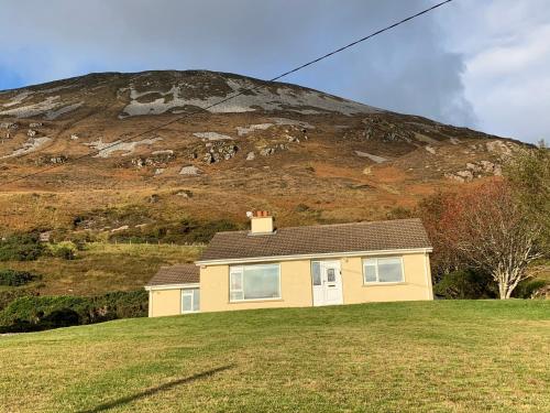 Фотографии гостевого дома 
            Errigal Lodge, Dunlewey