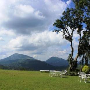 Фотографии гостевого дома 
            Ancoombra Tea Estate Bungalow