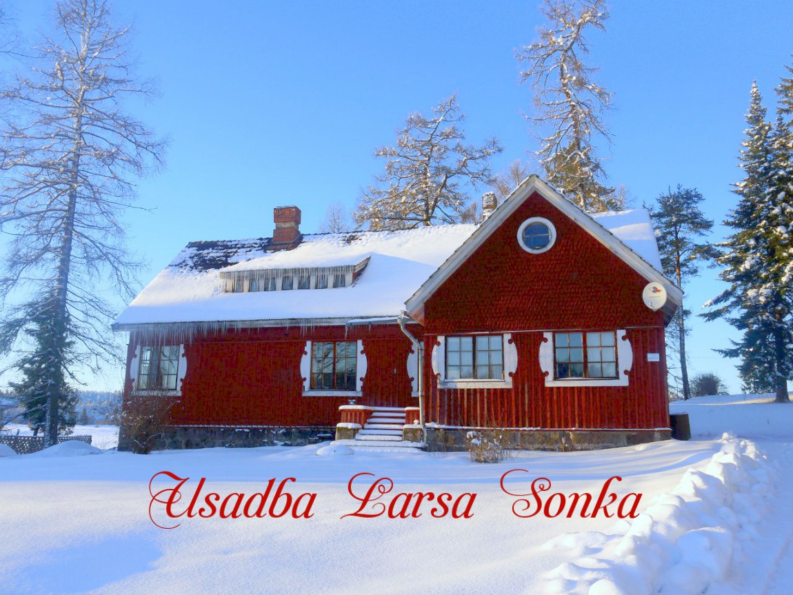 Фотография гостиницы Усадьба Ларса Сонка