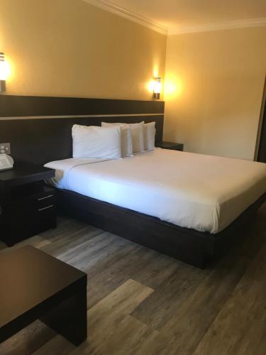 Фотография гостиницы Country Inn Sonora