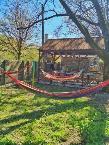 Фотография гостевого дома Guest House in Krikhi