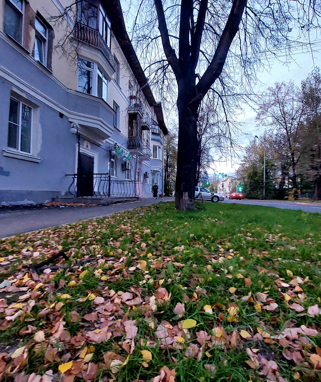 Фотография мини отеля СмартОтель САКВОЯЖЪ