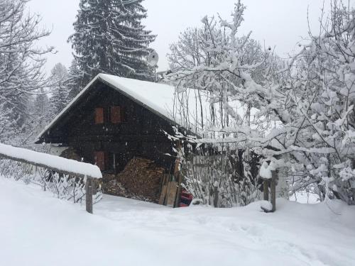 Фотография гостевого дома B&B La casa di Masha e Isabel Bio Welness